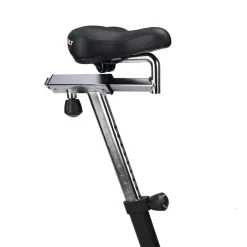 Assault Air Bike Classic