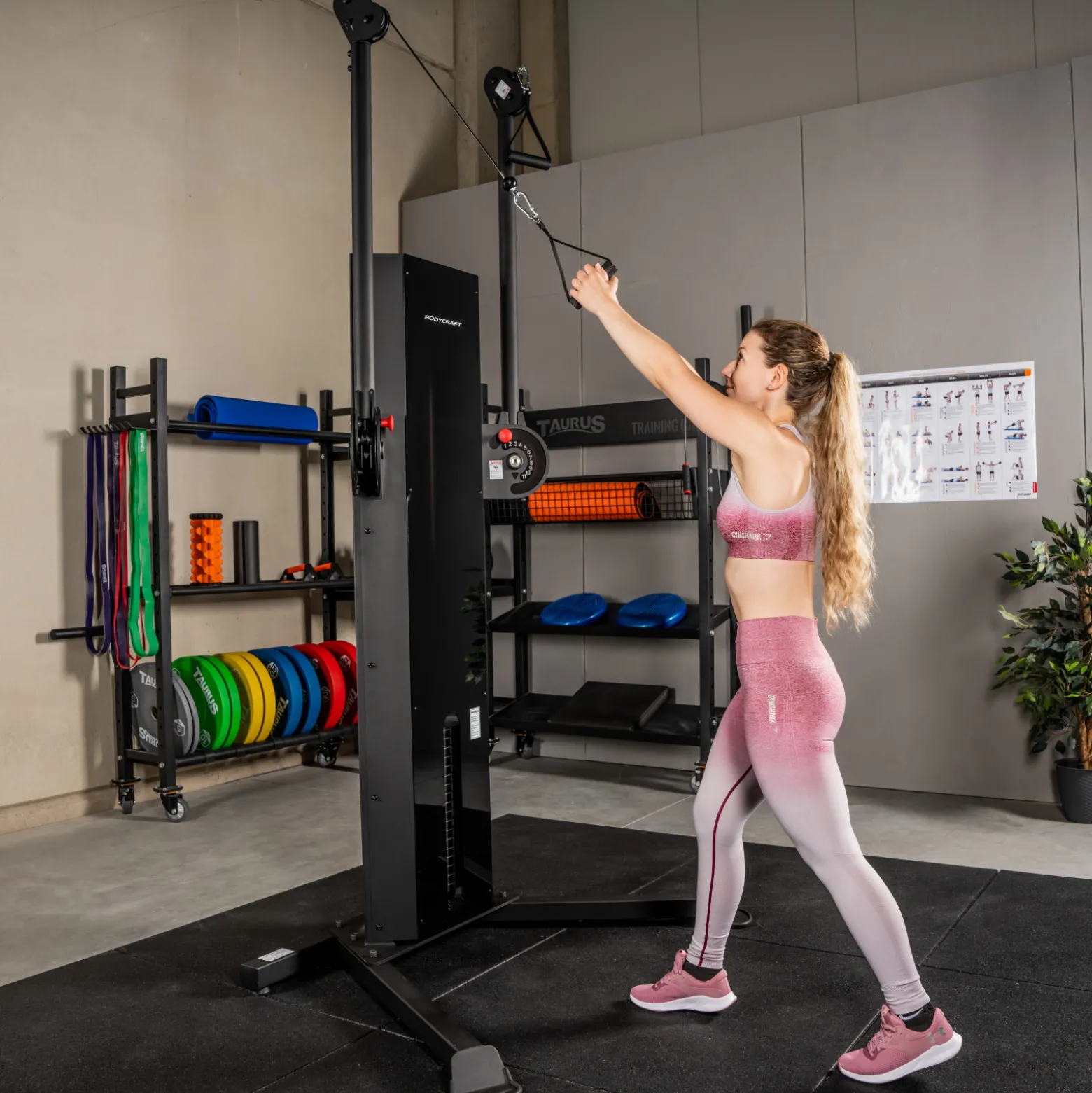 BodyCraft EFT Functional Trainer