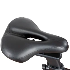 cardiostrong Ergometer BX40
