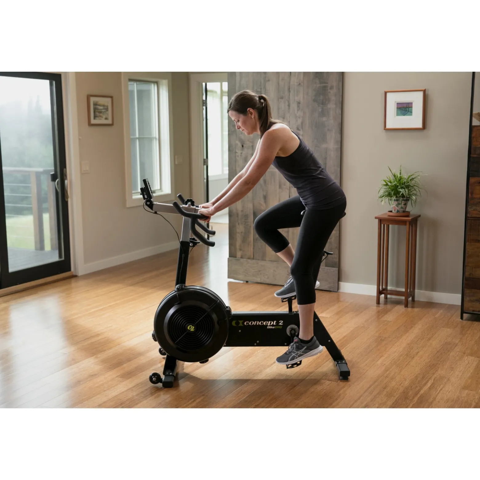 Concept2 BikeErg