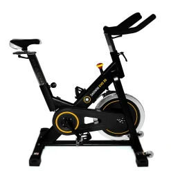 Darwin Indoor Bike Evo 30