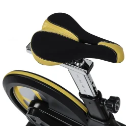 Darwin indoor bike Evo 40