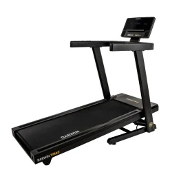 Darwin Laufband TM40