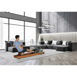 Fluid Rower Rudergerät Apollo Pro V