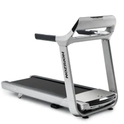 Horizon Laufband Paragon X