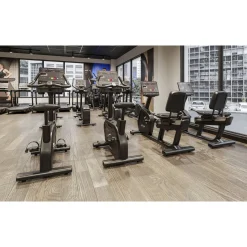Life Fitness Aspire Ergometer