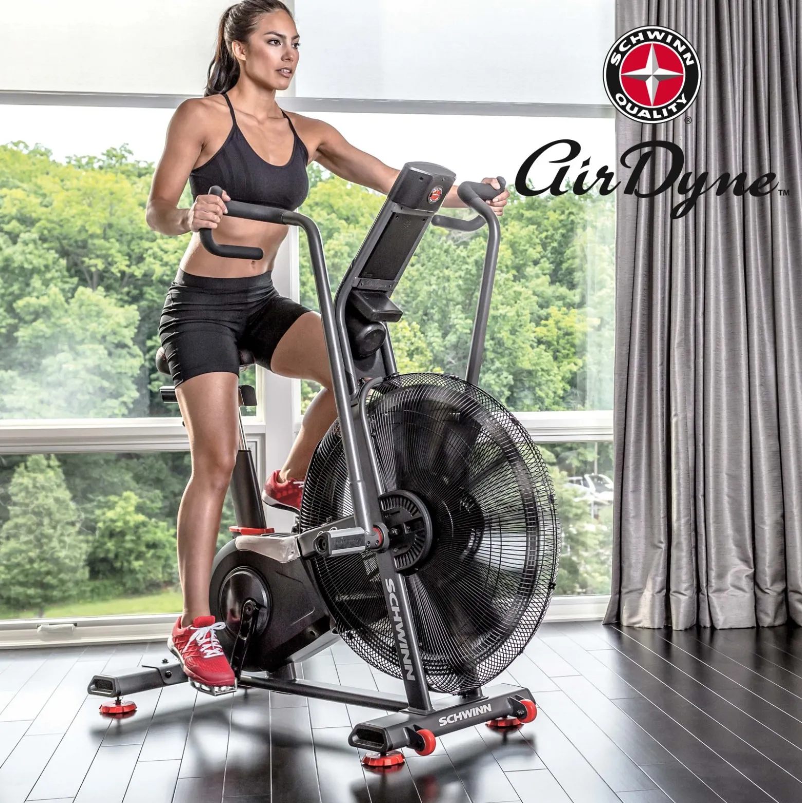 Schwinn Airdyne AD8
