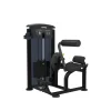 Taurus Back Extension IT95