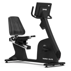 Taurus Elite Recumbent Bike