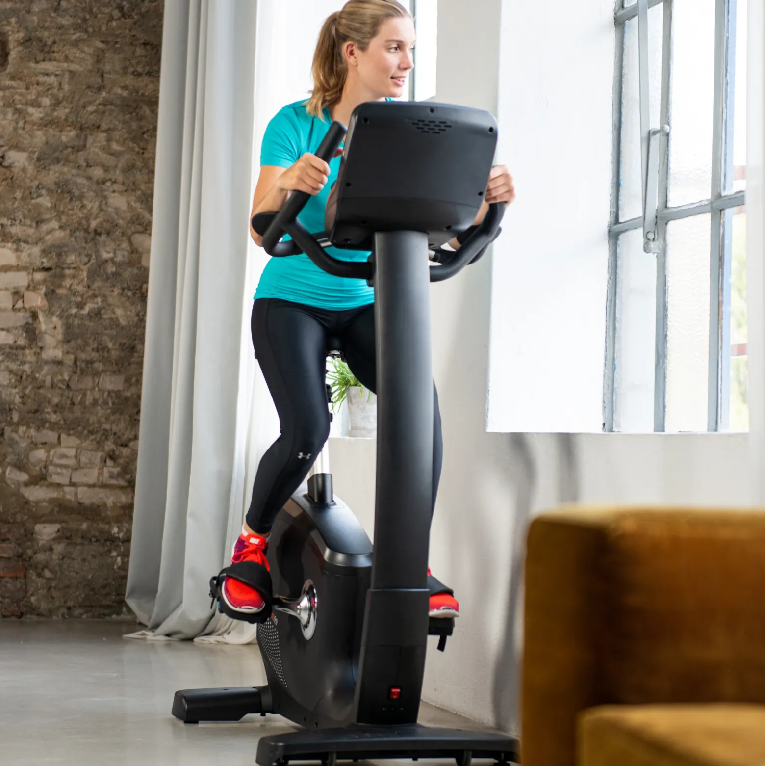 Taurus Ergometer UB9.9