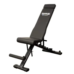 Taurus Flexicon Trainingsbank
