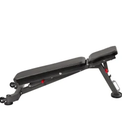 Taurus Hantelbank B450