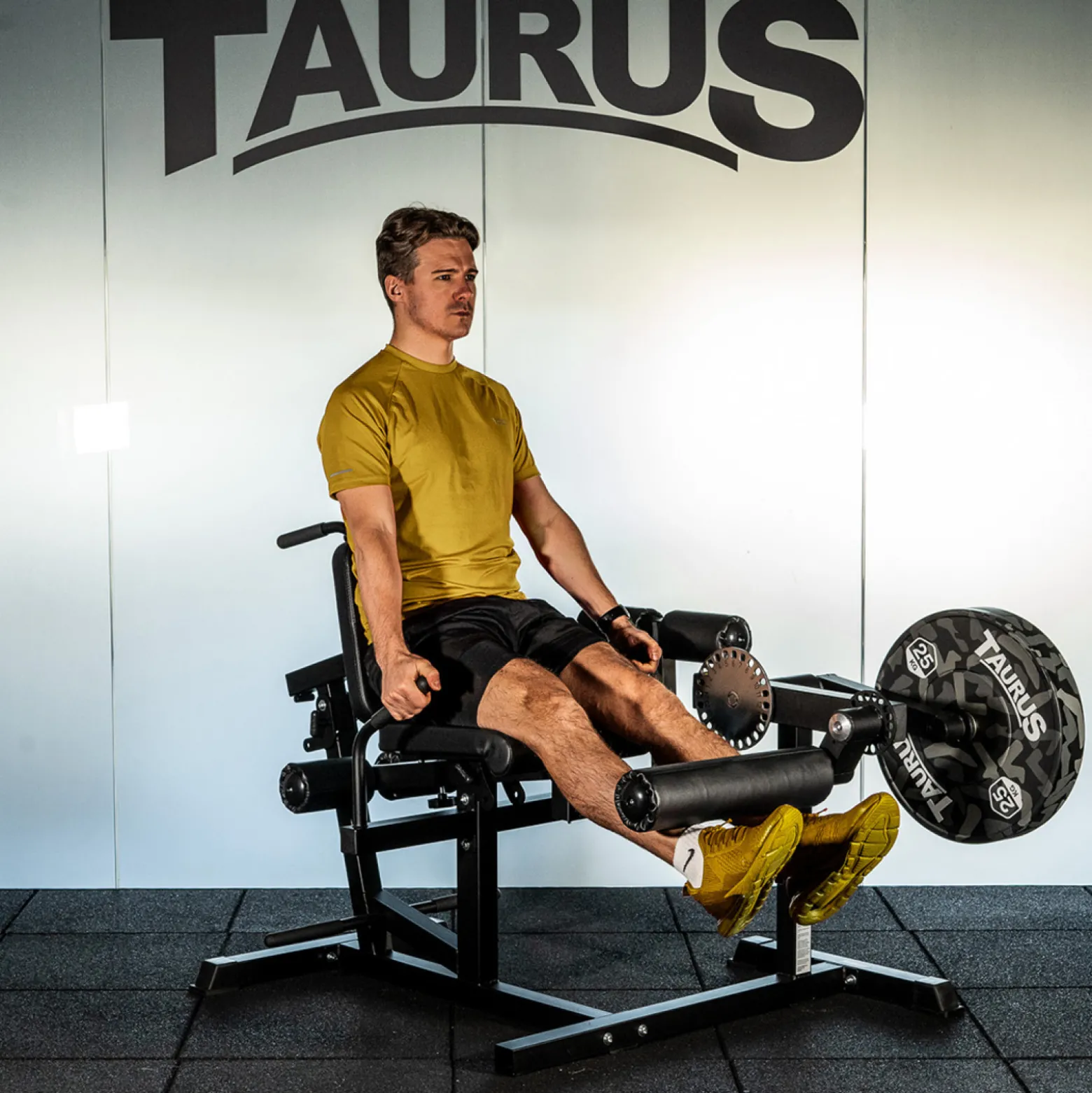 Taurus 4-in-1 Multitrainer