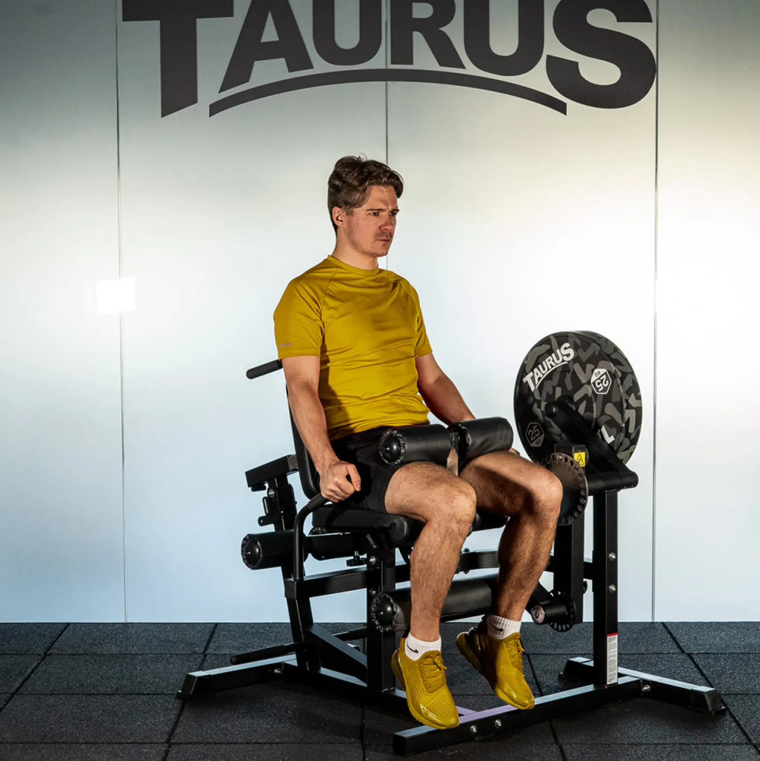 Taurus 4-in-1 Multitrainer