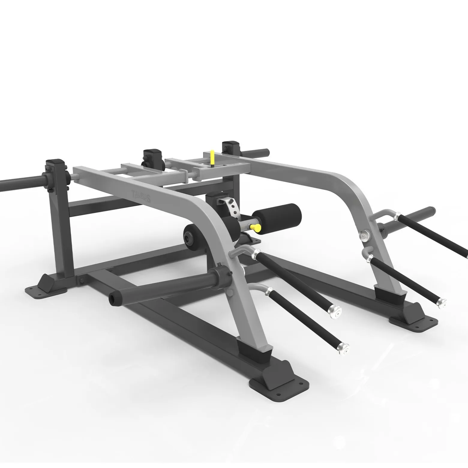 Taurus Iso Squat Lunge