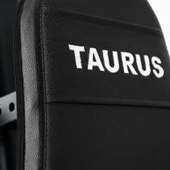 Taurus Kraftstation WS7