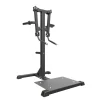Taurus Seithebemaschine IFP | Standing Lateral Raise
