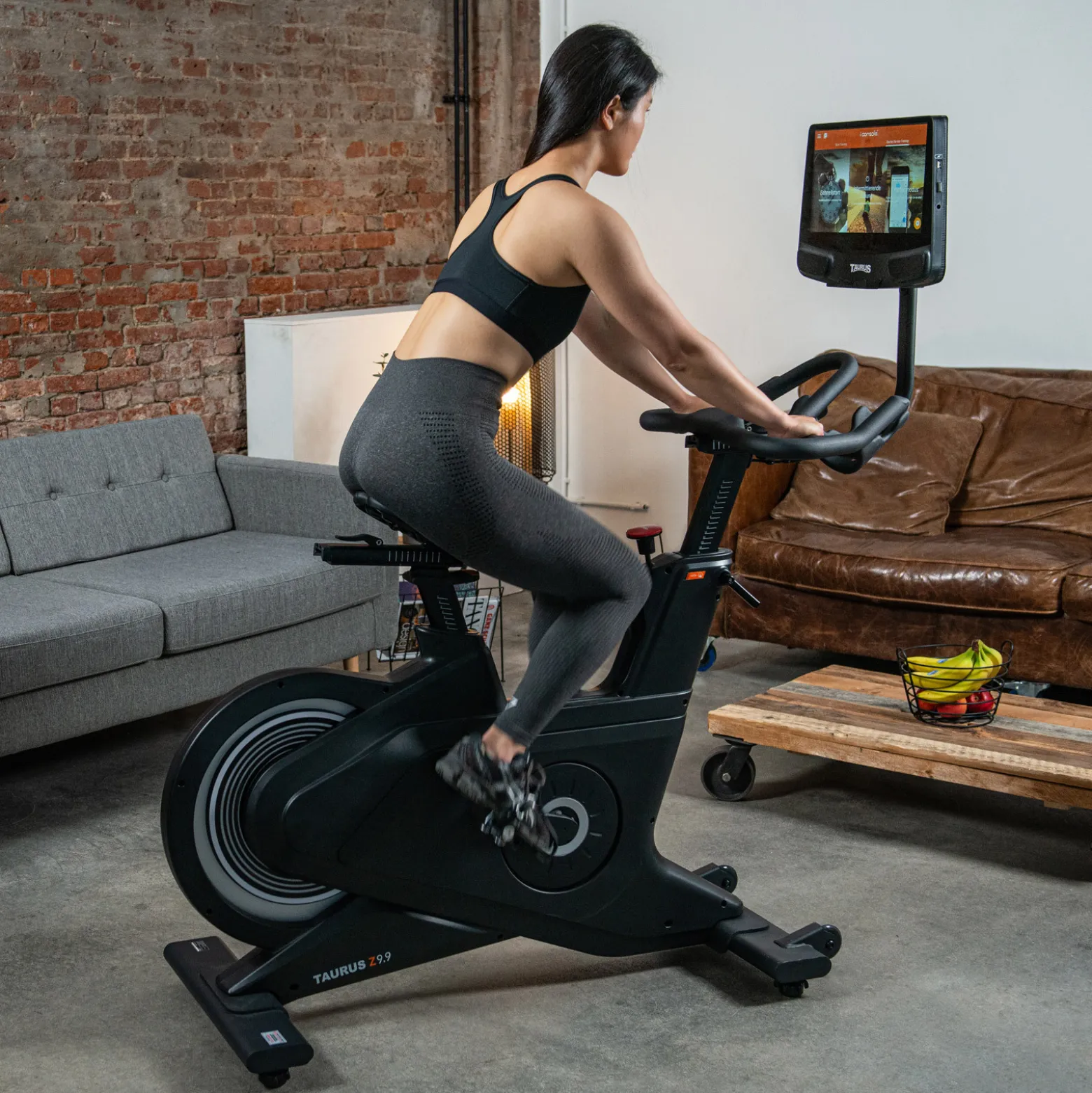 Taurus Smart Bike Z9.9 Pro