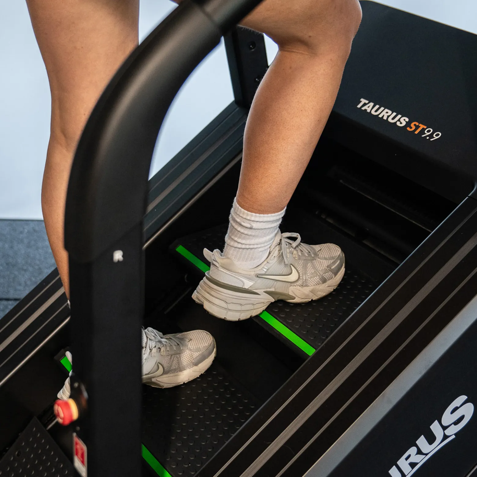 Taurus Stair Trainer ST9.9 Treppensteiger