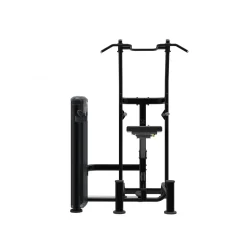 Taurus Weight Assisted Chin-Dip Combo IT95