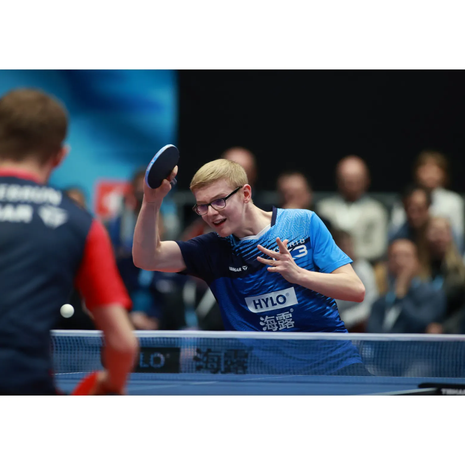 Tibhar Tischtennisschläger Master Felix Lebrun