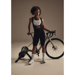 Wahoo Rollentrainer Kickr Core 2